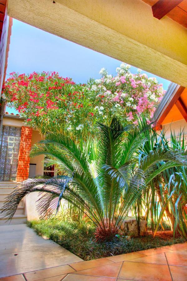 Apartment Petra near beach Veruda Esterno foto